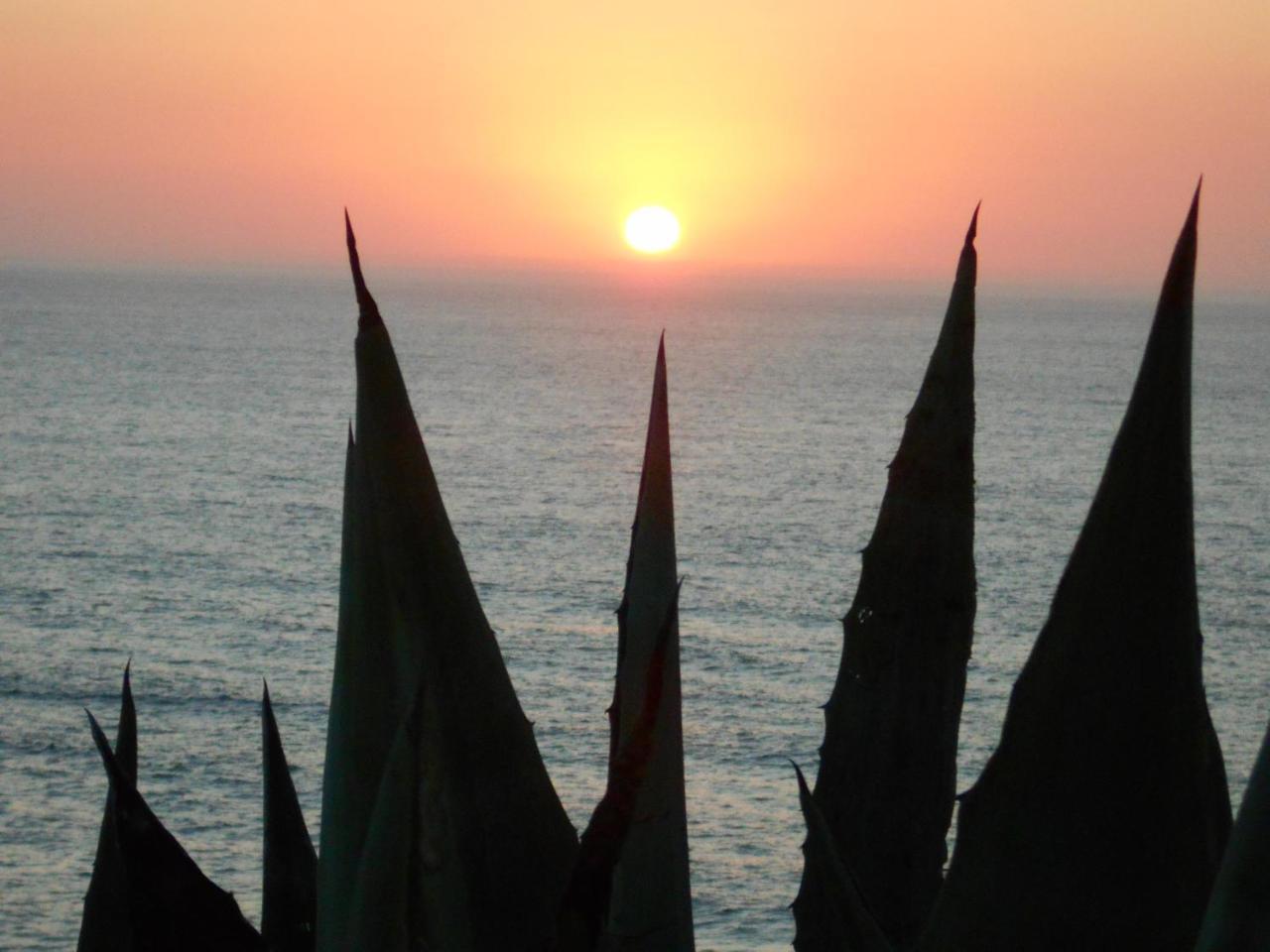 Sol Dourado Ξενοδοχείο Zambujeira do Mar Εξωτερικό φωτογραφία